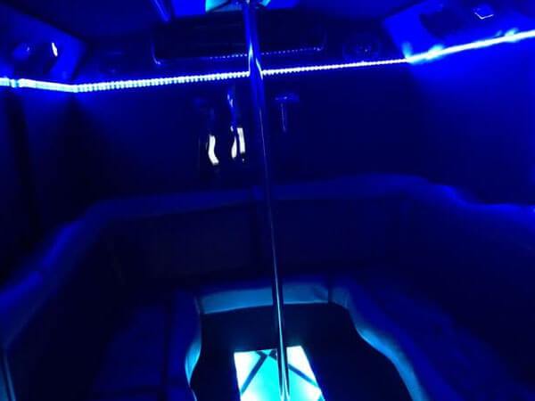 20 Passenger Party Bus Dfw Area